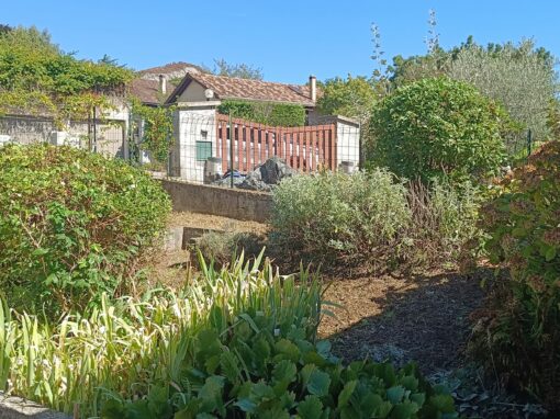 D’un Jardin à l’Autre (3)
