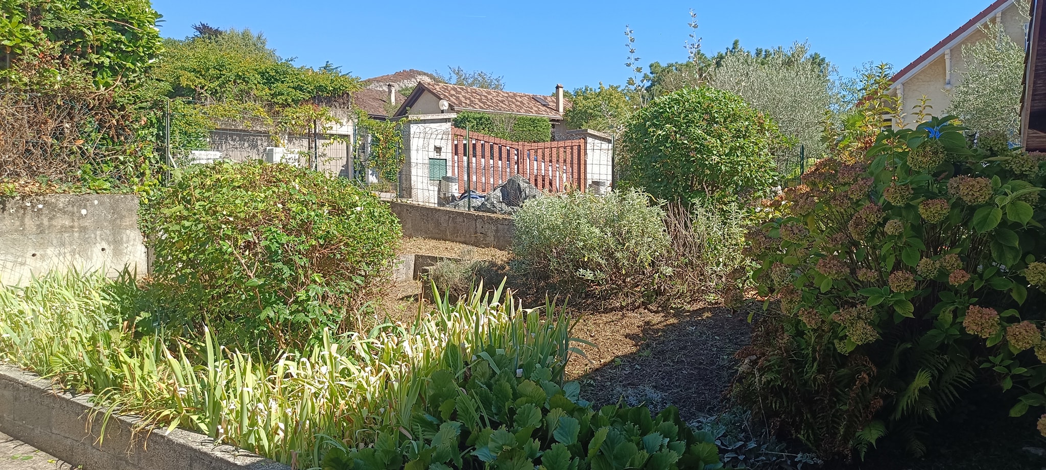 Plantations adaptées au climat local - Aménagement paysager